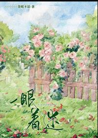 一眼着迷章节列表