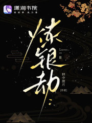 炼银劫章节列表